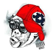 xiyoung的个人资料头像