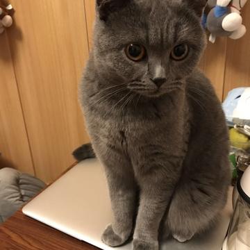 胡七筒于2018-11-17 14:04发布的图片