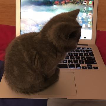 胡七筒于2018-11-17 14:04发布的图片