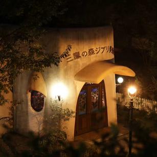 金正皓于2018-11-17 14:20发布的图片