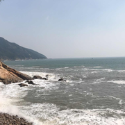 技术小强的个人资料头像