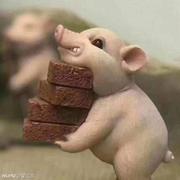 瞎看瞎写的个人资料头像