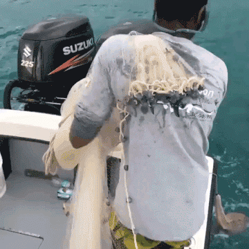 程序员趣事于2018-11-02 10:42发布的图片