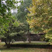 麓皋的个人资料头像