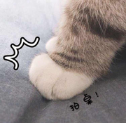 搞起捏三的个人资料头像