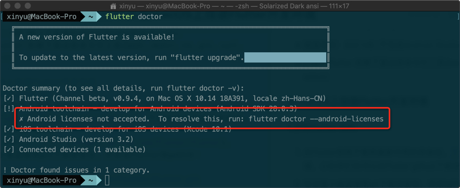 flutter doctor