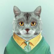 safranz的个人资料头像