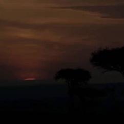 阮一峰推特更新于2018-11-23 09:52发布的图片