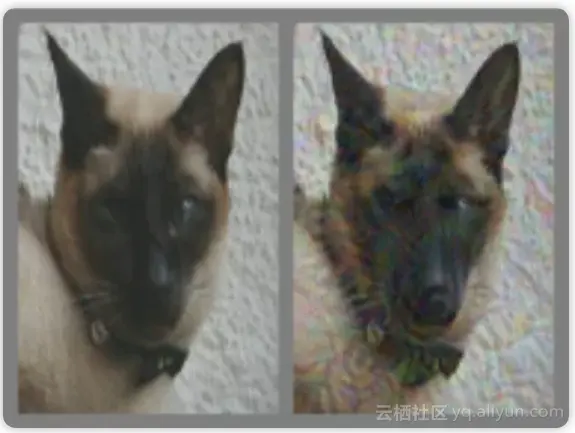 794c2fe92f2f0bf92ffda99c890ee68254618ab7