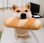 Joker小志的个人资料头像