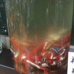 娱乐小编于2018-11-23 17:36发布的图片