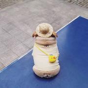 喜东东本尊的个人资料头像