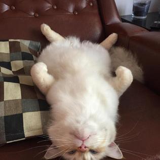 无名无名于2018-11-27 11:09发布的图片