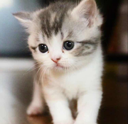 啊伍的个人资料头像