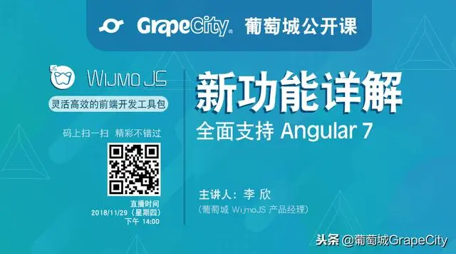 「官宣」WijmoJS 2018 v3 正式发布，全面支持Angular7