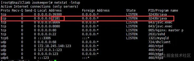 运行 netstat   -lntup命令查看网络状态