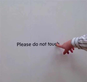 ViToTse的个人资料头像