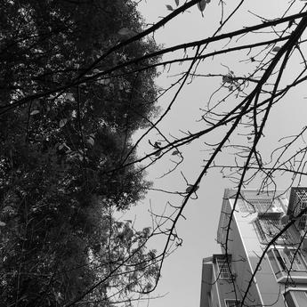 SeanTang于2018-11-29 08:19发布的图片