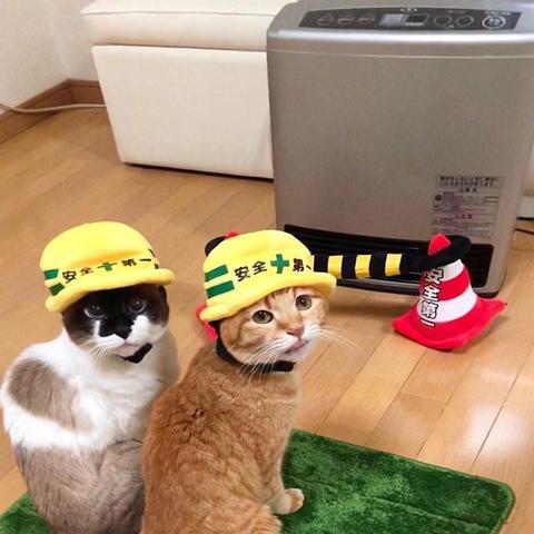 程序员鼓励喵于2018-11-29 11:47发布的图片