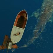 lighter45605的个人资料头像