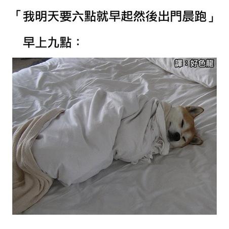 娱乐小编于2018-11-03 09:26发布的图片