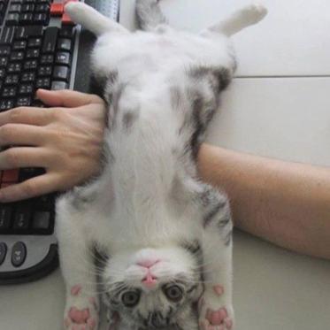 景略集智于2018-11-03 10:21发布的图片