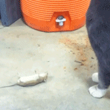 无名无名于2018-11-30 09:43发布的图片