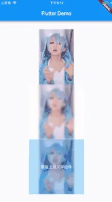 动态预览
