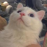 mkymyr的个人资料头像