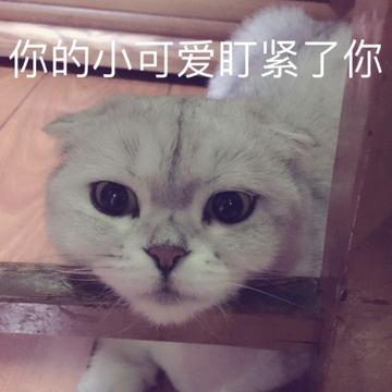 Ellamin于2018-11-04 14:07发布的图片