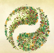 微兔子的个人资料头像