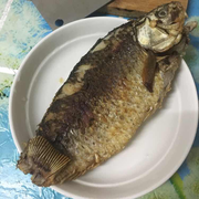 姜云凡的个人资料头像