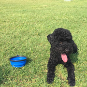 jz2324的个人资料头像