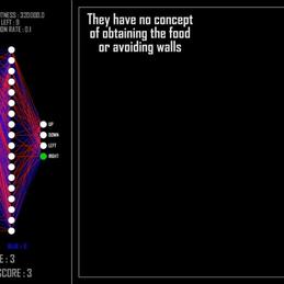 网路冷眼于2018-11-06 07:20发布的图片