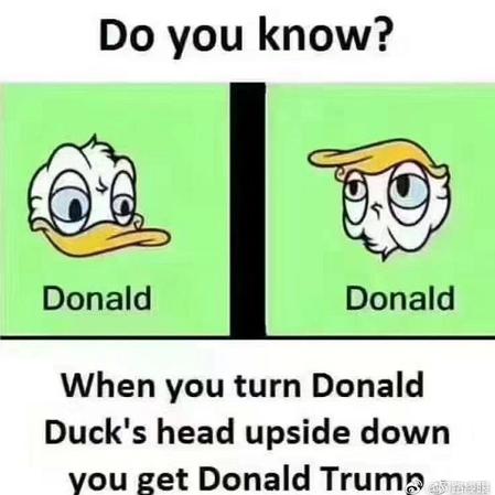 网路冷眼于2018-11-06 16:39发布的图片