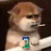 12138的个人资料头像