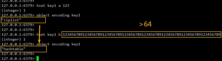 Redis 自适应地选择编码方式