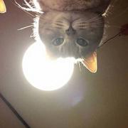 你醒啦的个人资料头像