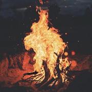 Jarvis_You的个人资料头像