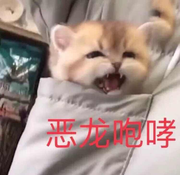 bennett28701的个人资料头像