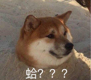 香蕉先生的个人资料头像