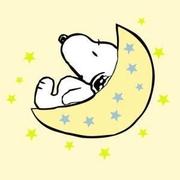 DianaHan的个人资料头像