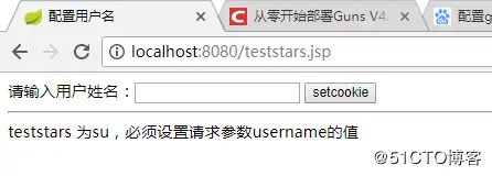 【星云测试】开发者测试(2)-采用精准测试工具对J2EE Guns开发框架进行测试