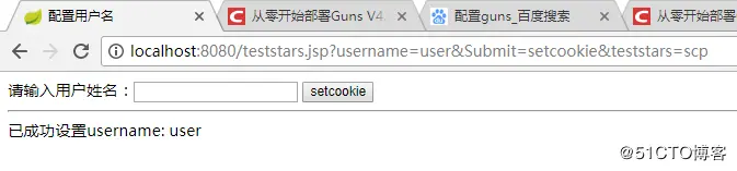 【星云测试】开发者测试(2)-采用精准测试工具对J2EE Guns开发框架进行测试