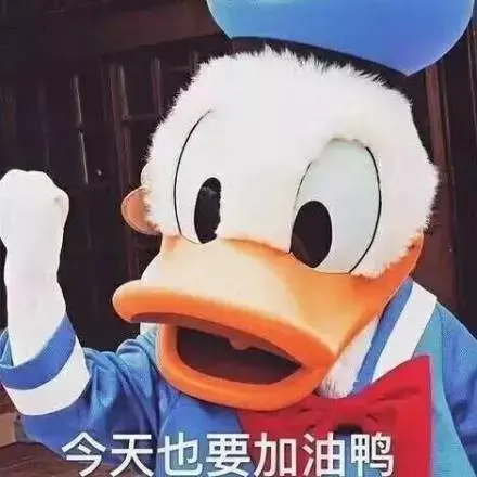加油鸭