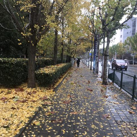 问征夫以前路于2018-12-11 15:59发布的图片