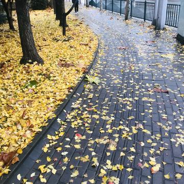 问征夫以前路于2018-12-11 15:59发布的图片