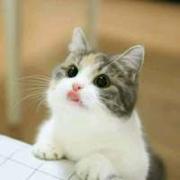 心向阳光看齐的个人资料头像