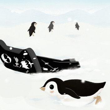 个人主页有话说于2018-12-13 13:41发布的图片