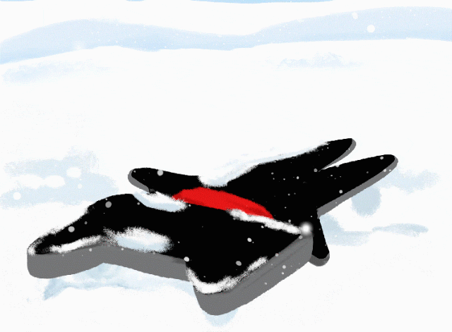 个人主页有话说于2018-12-13 13:41发布的图片